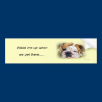 bulldog_bumper_sticker bumper stickers