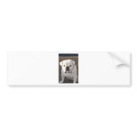 Bulldog Bumper Stickers