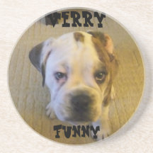 BULLDOG COASTER