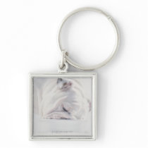Bulldog Eating Key Chain