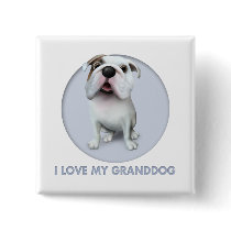 Bulldog (English) Granddog Buttons