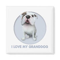 Bulldog (English) Granddog Fridge Magnet