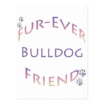Bulldog Furever Post Card