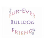 Bulldog Furever Postcards