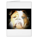 bulldog greeting card