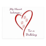 Bulldog Heart Belongs Postcards