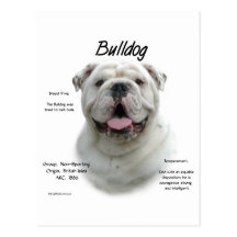 Bulldog History Design Post Card