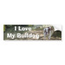 Bulldog Love Bumper Sticker