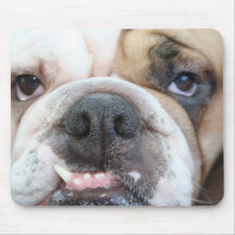 Bulldog Mouse pad