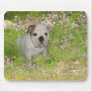 Bulldog Mousepad
