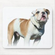 bulldog  Mousepad
