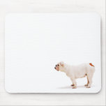Bulldog Mousepad