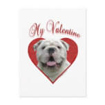 Bulldog My Valentine Postcard