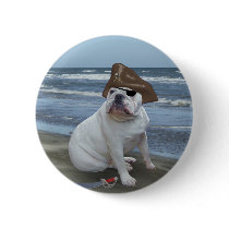 Bulldog Pirate on the beach
