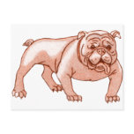 Bulldog Post Cards