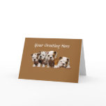 Bulldog Puppies Card