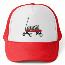 Bulldog Puppies In Wagon Hat
