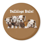 Bulldog Puppies Magnet