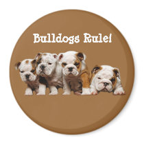 Bulldog Puppies Magnet