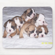bulldog puppies mouse mat