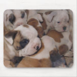 Bulldog  Puppies Mouse Pad