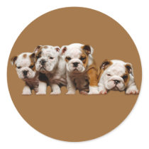 Bulldog Puppies Sticker