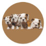 Bulldog Puppies Sticker