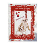 Bulldog Puppy Let It Snow #2 Greeting Postcard
