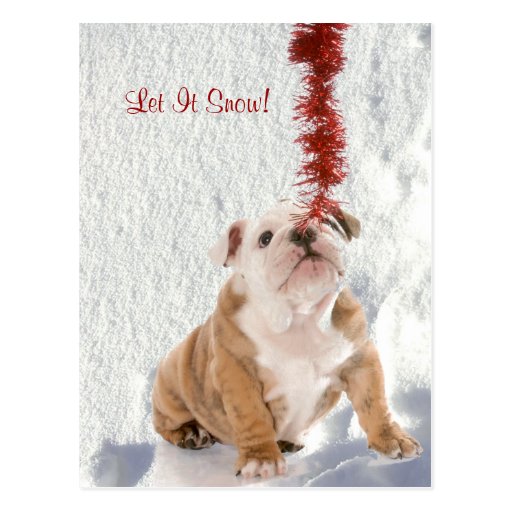 Bulldog Puppy Let It Snow #2 Holiday Greeting Post Card