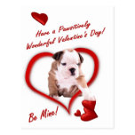 Bulldog Puppy Love In An Envelope Postcard