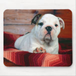 Bulldog Puppy mousepads