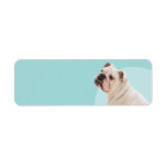 Bulldog Return Address Label