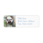 Bulldog Return Address Label labels