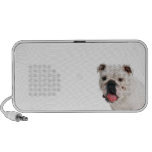 Bulldog Speaker
