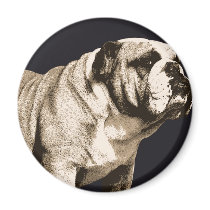 Bulldog Spirit Refrigerator Magnets