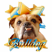 Bulldog star photo sculpture pin