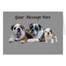 Bulldog Trio Greeting Card