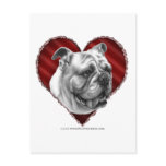 Bulldog with Heart Postcard