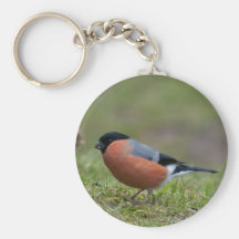 Bullfinch British Bird Keychain