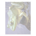 Bullfrog, Lake St. Peter, Ontario, Canada Letterhead Design