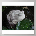 BULLFROG POSTERS