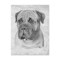 Bullmastiff Post Cards
