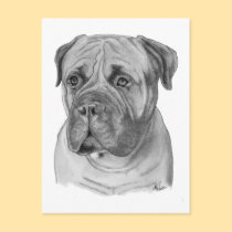 Bullmastiff postcards