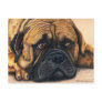 Bullmastiff Waiting - Dog Breed Art Postcard