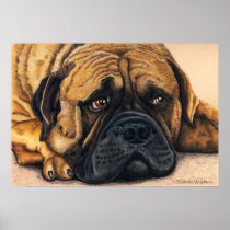 Bullmastiff Waiting - Dog Breed Art Poster