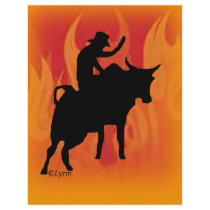 Bullrider 201 full color flyer