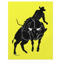 Bullrider 300 flyer