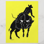 Bullrider 300 flyer