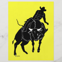 Bullrider 300 flyer