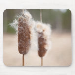 Bullrush nature photograph mousepad